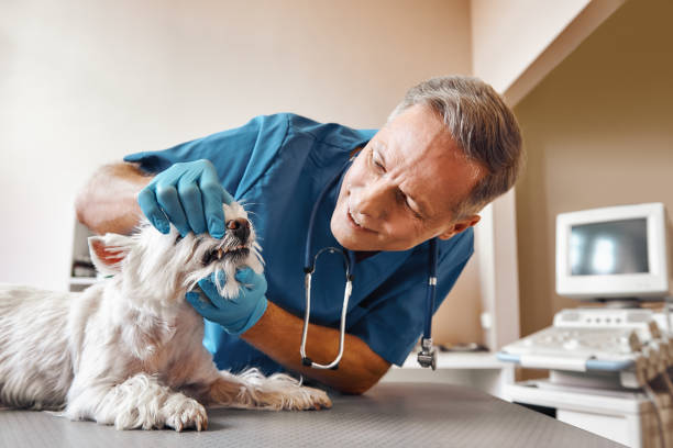Best Emergency Dental Extractions in Church Hill, TN